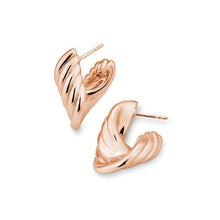 Lade das Bild in den Galerie-Viewer, orecchini Galvano in Argento 925