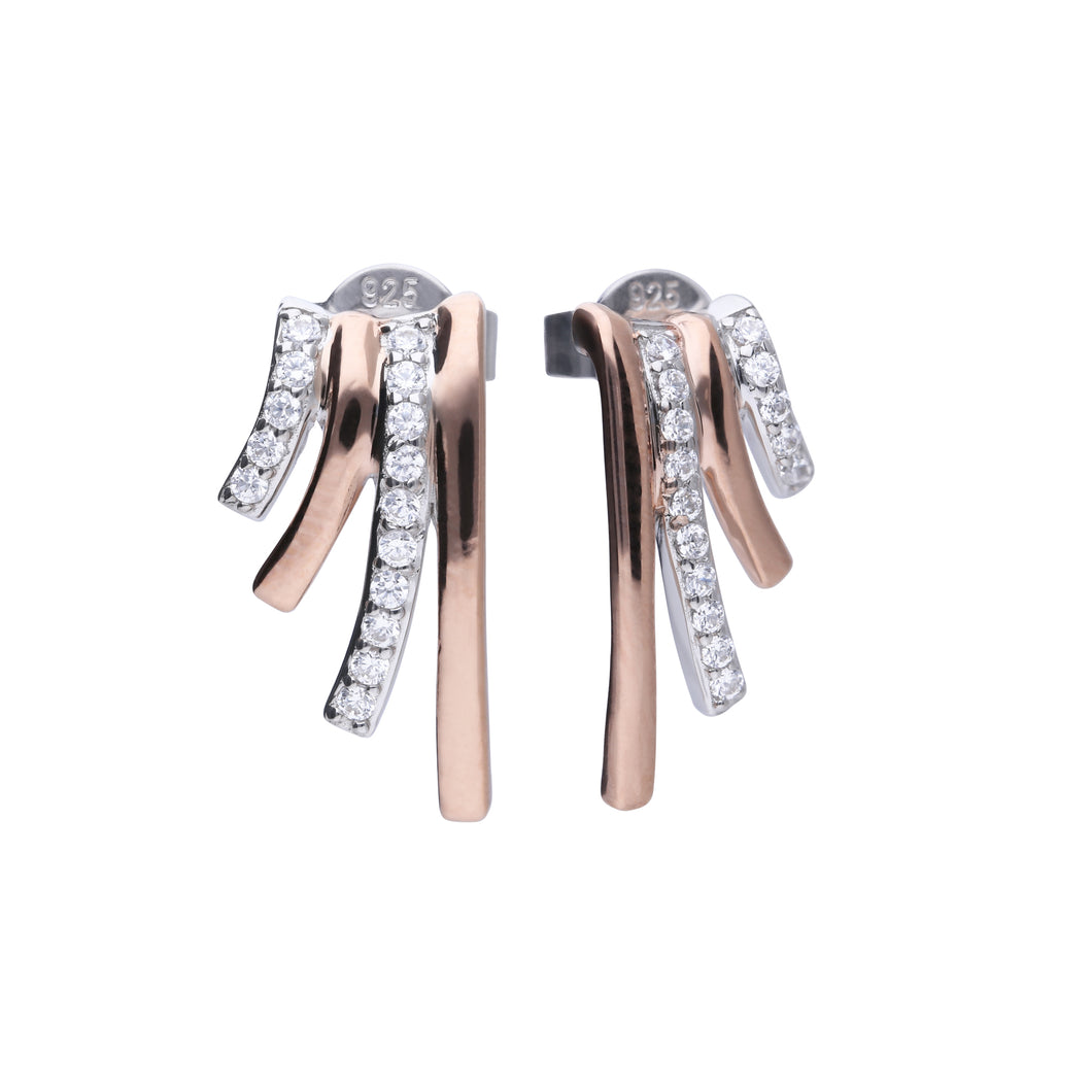 Orecchini Diamonfire Two-Tone